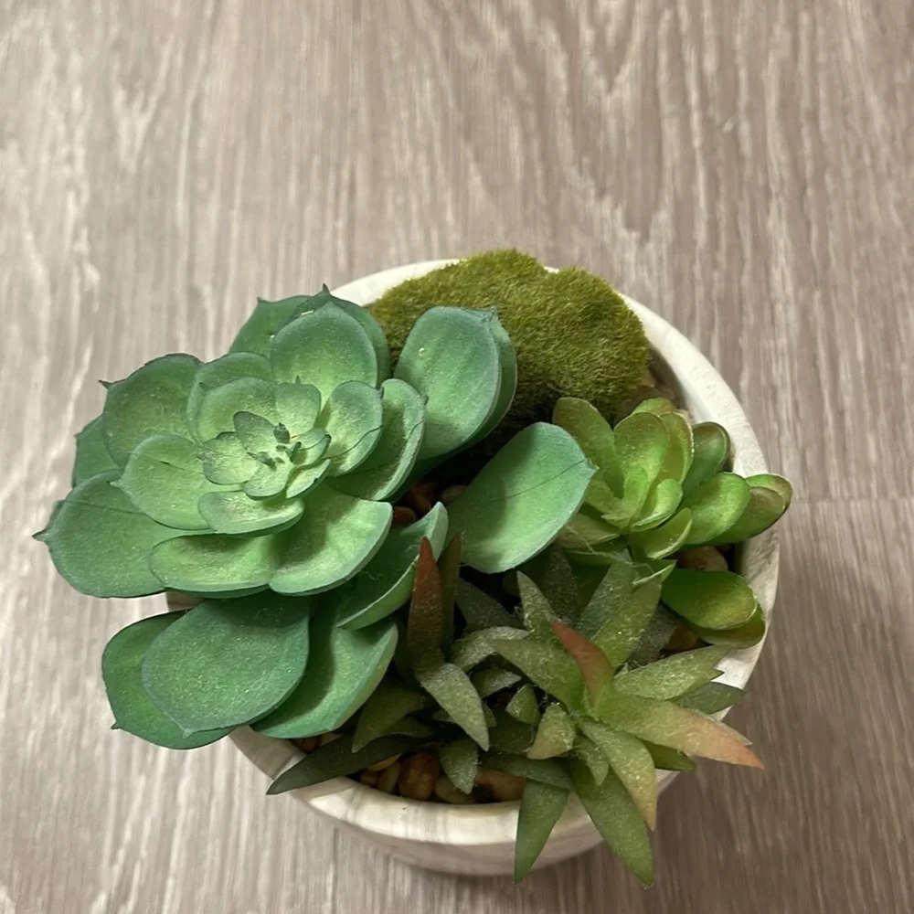 Faux Plant Size 4.5x5 Color White Gray Green Marble